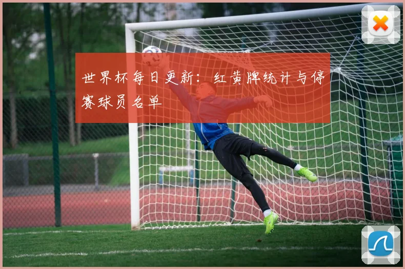 世界杯每日更新:红黄牌统计与停赛球员名单